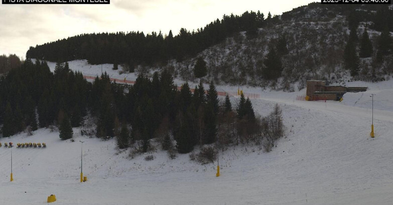 Webcam Monte Bondone - Bondone Diagonale Montesel