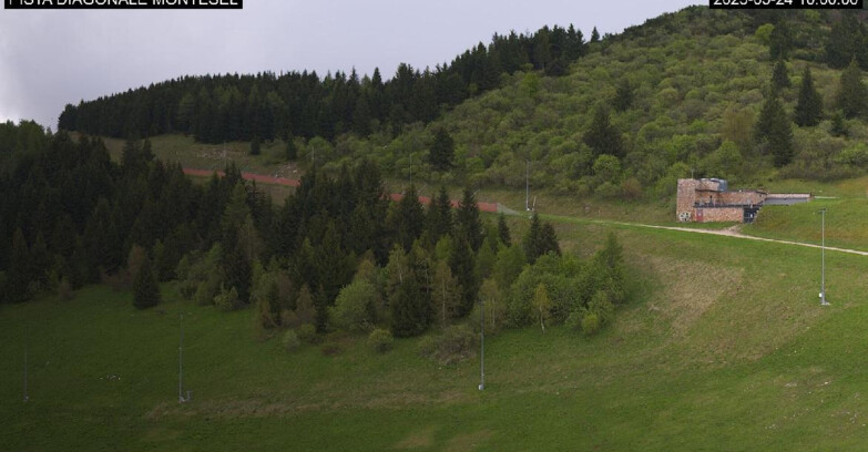 Webcam Monte Bondone - Bondone Diagonale Montesel
