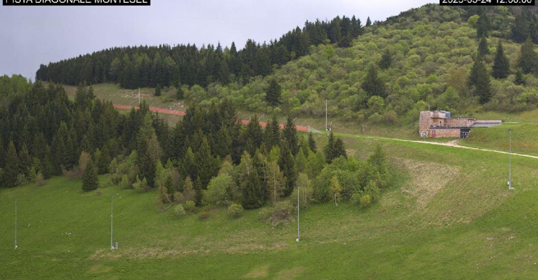 Webcam Monte Bondone - Bondone Diagonale Montesel