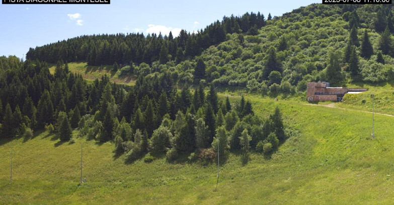 Webcam Monte Bondone - Bondone Diagonale Montesel