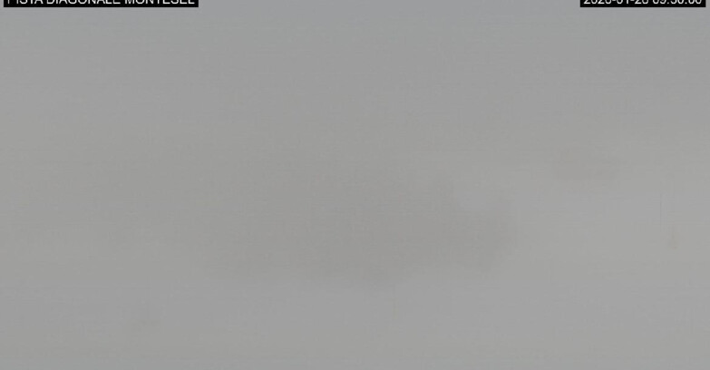 Webcam Monte Bondone - Bondone Diagonale Montesel