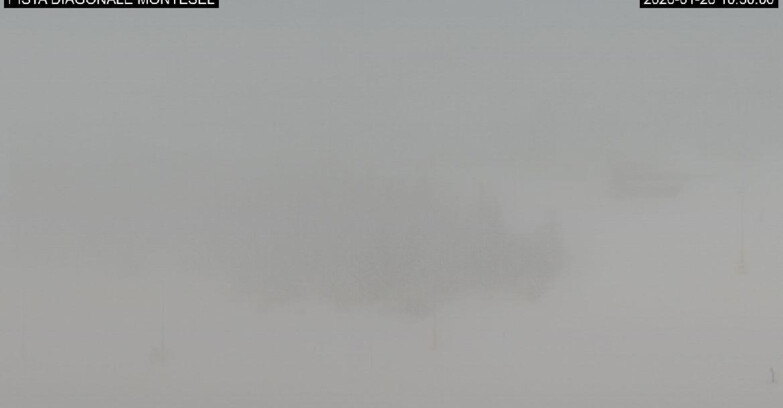 Webcam Monte Bondone - Bondone Diagonale Montesel