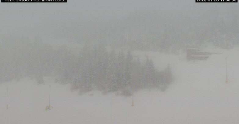 Webcam Monte Bondone - Bondone Diagonale Montesel