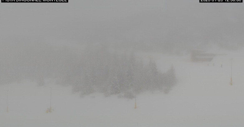 Webcam Monte Bondone - Bondone Diagonale Montesel