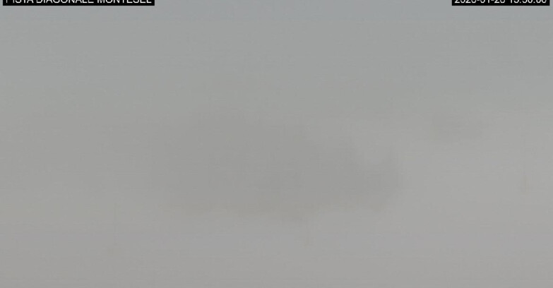 Webcam Monte Bondone - Bondone Diagonale Montesel