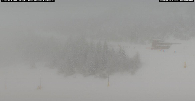 Webcam Monte Bondone - Bondone Diagonale Montesel