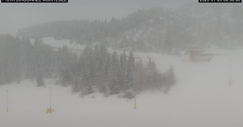 Webcam Monte Bondone - Bondone Diagonale Montesel