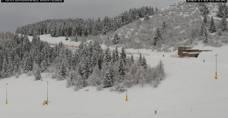 Webcam Monte Bondone - Bondone Diagonale Montesel