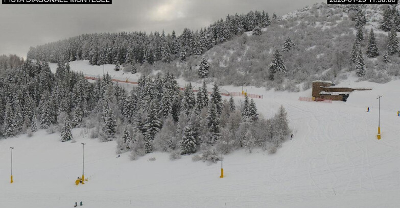 Webcam Monte Bondone - Bondone Diagonale Montesel