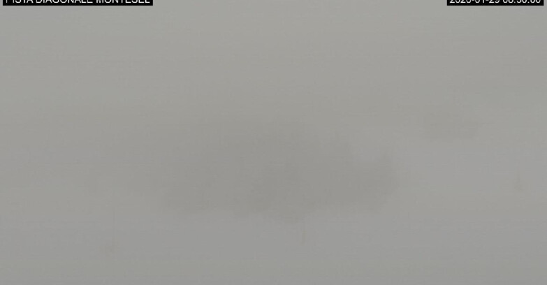 Webcam Monte Bondone - Bondone Diagonale Montesel