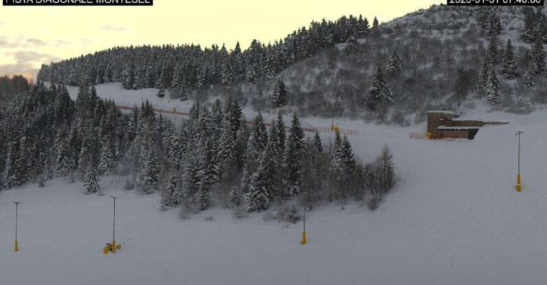 Webcam Monte Bondone - Bondone Diagonale Montesel