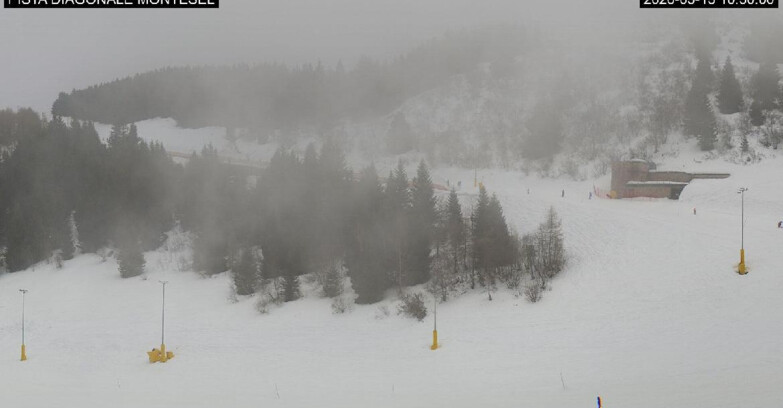 Webcam Monte Bondone - Bondone Diagonale Montesel