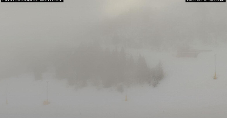 Webcam Monte Bondone - Bondone Diagonale Montesel