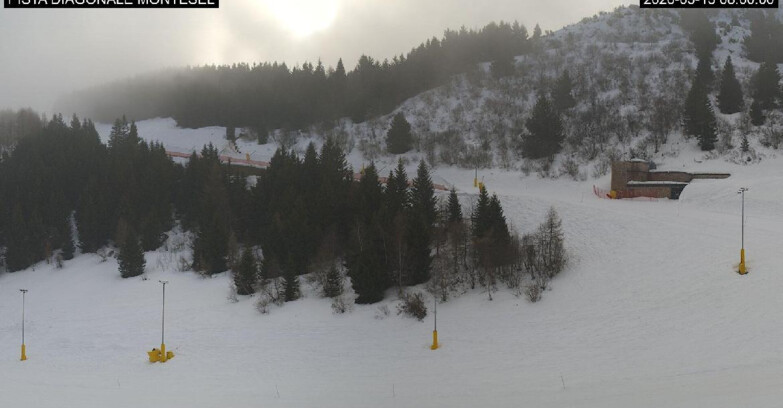 Webcam Monte Bondone - Bondone Diagonale Montesel