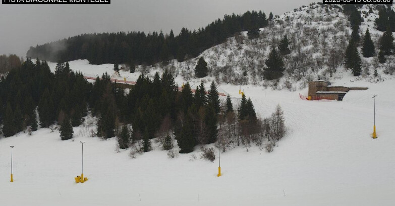 Webcam Monte Bondone - Bondone Diagonale Montesel
