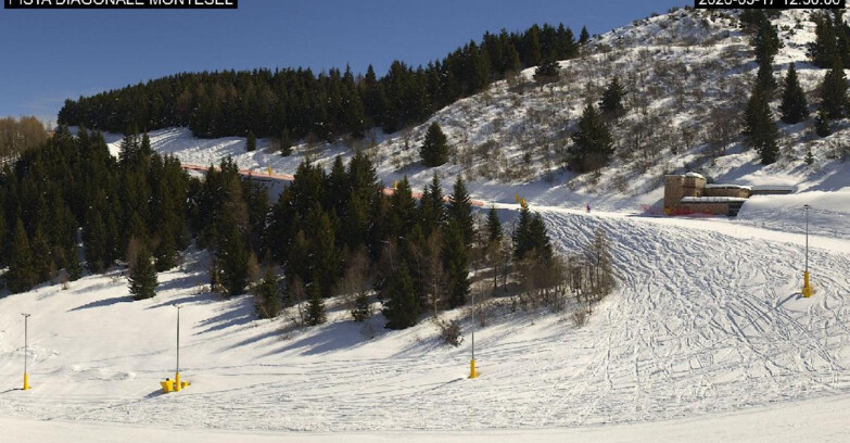 Webcam Monte Bondone - Bondone Diagonale Montesel