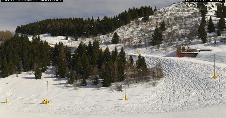 Webcam Monte Bondone - Bondone Diagonale Montesel