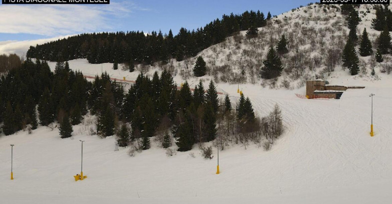 Webcam Monte Bondone - Bondone Diagonale Montesel