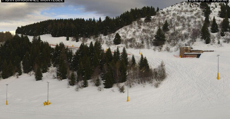 Webcam Monte Bondone - Bondone Diagonale Montesel