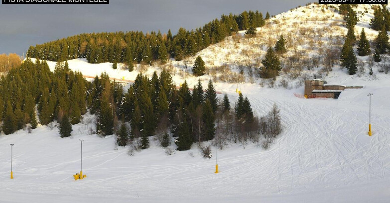 Webcam Monte Bondone - Bondone Diagonale Montesel