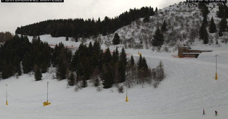 Webcam Монте-Бондоне  - Bondone Diagonale Montesel