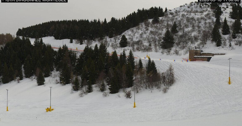 Webcam Монте-Бондоне  - Bondone Diagonale Montesel