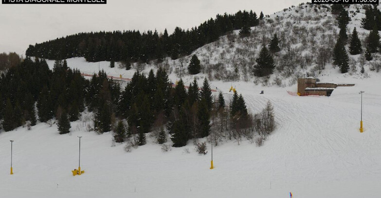 Webcam Монте-Бондоне  - Bondone Diagonale Montesel