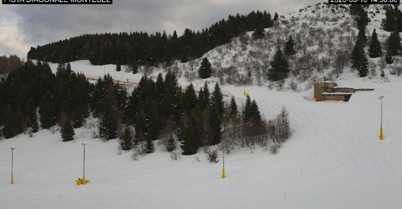Webcam Монте-Бондоне  - Bondone Diagonale Montesel