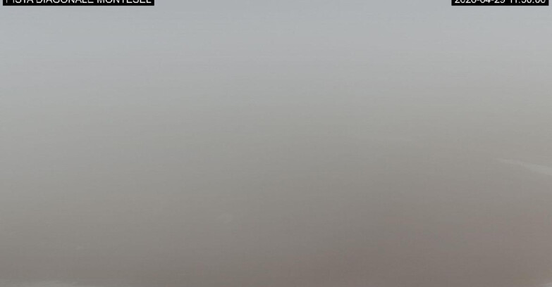 Webcam Monte Bondone - Bondone Diagonale Montesel