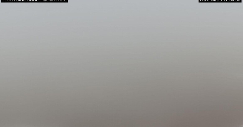 Webcam Monte Bondone - Bondone Diagonale Montesel