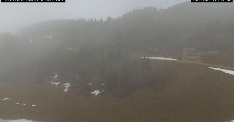 Webcam Monte Bondone - Bondone Diagonale Montesel