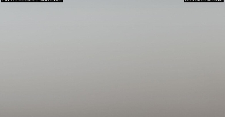 Webcam Monte Bondone - Bondone Diagonale Montesel