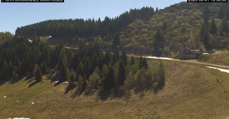 Webcam Monte Bondone - Bondone Diagonale Montesel