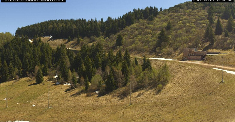 Webcam Monte Bondone - Bondone Diagonale Montesel