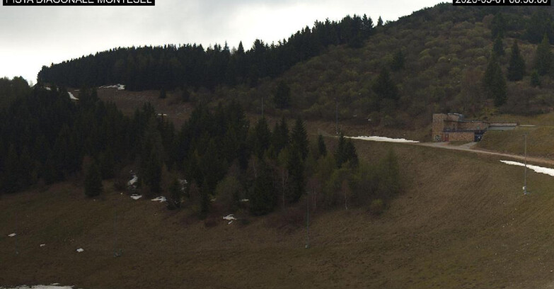 Webcam Monte Bondone - Bondone Diagonale Montesel