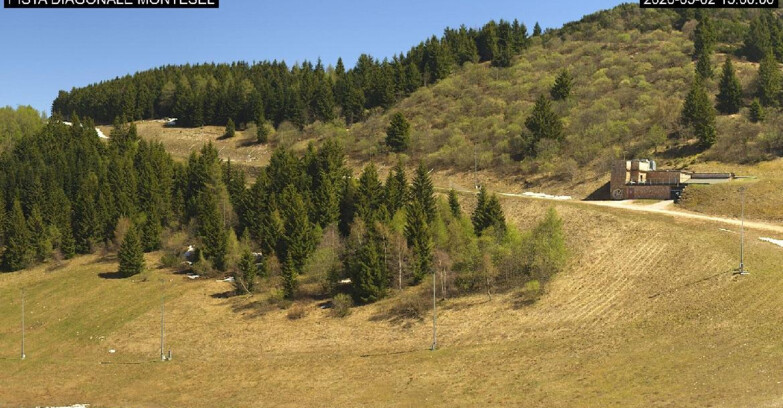 Webcam Monte Bondone - Bondone Diagonale Montesel