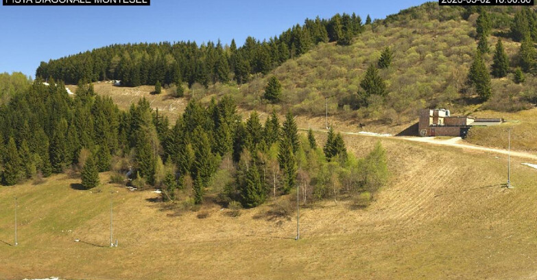 Webcam Monte Bondone - Bondone Diagonale Montesel