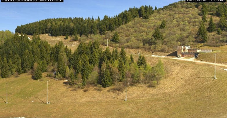 Webcam Monte Bondone - Bondone Diagonale Montesel