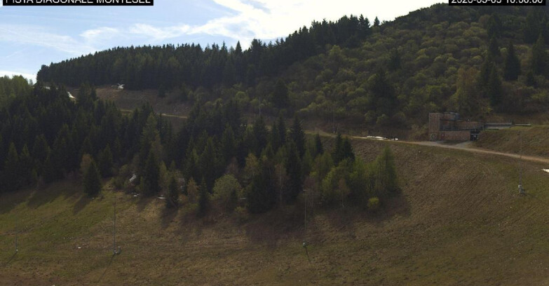 Webcam Monte Bondone - Bondone Diagonale Montesel
