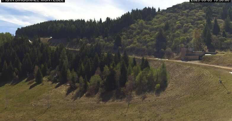 Webcam Monte Bondone - Bondone Diagonale Montesel
