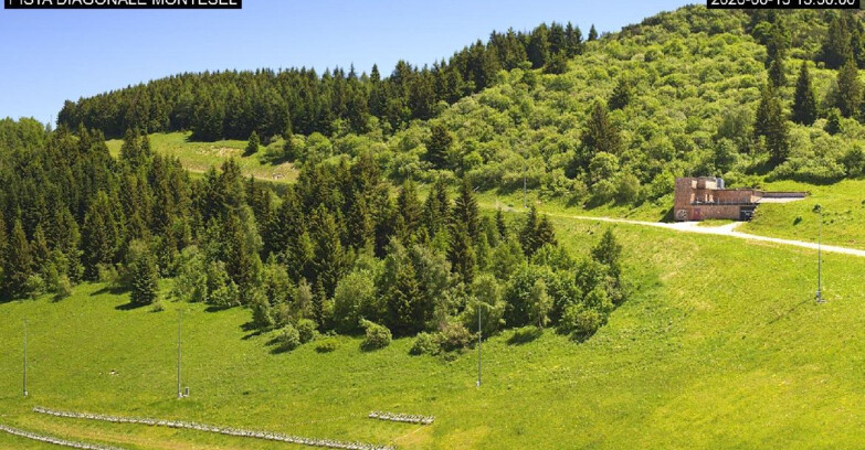 Webcam Monte Bondone - Bondone Diagonale Montesel