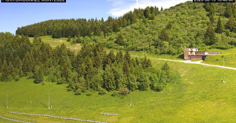 Webcam Monte Bondone - Bondone Diagonale Montesel