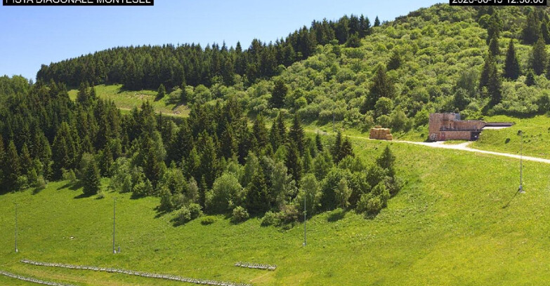 Webcam Monte Bondone - Bondone Diagonale Montesel