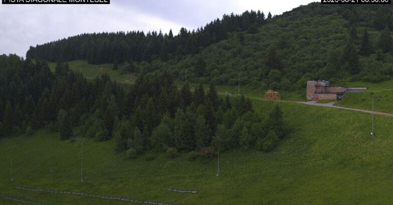 Webcam Monte Bondone - Bondone Diagonale Montesel