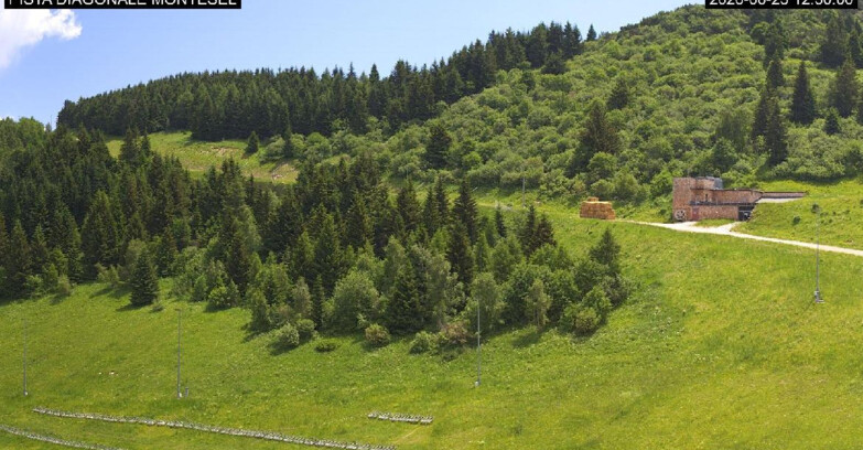 Webcam Monte Bondone - Bondone Diagonale Montesel
