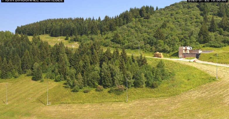 Webcam Monte Bondone - Bondone Diagonale Montesel