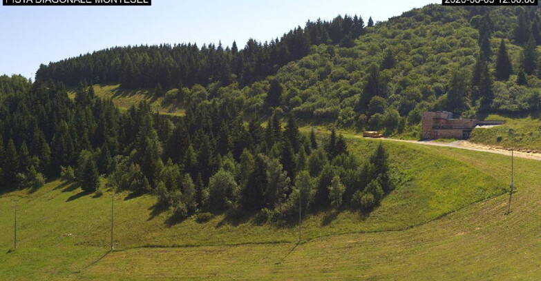 Webcam Monte Bondone - Bondone Diagonale Montesel