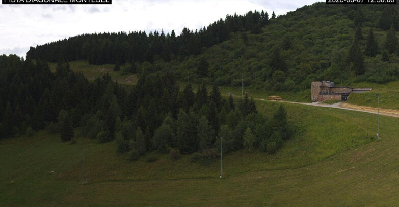 Webcam Монте-Бондоне  - Bondone Diagonale Montesel