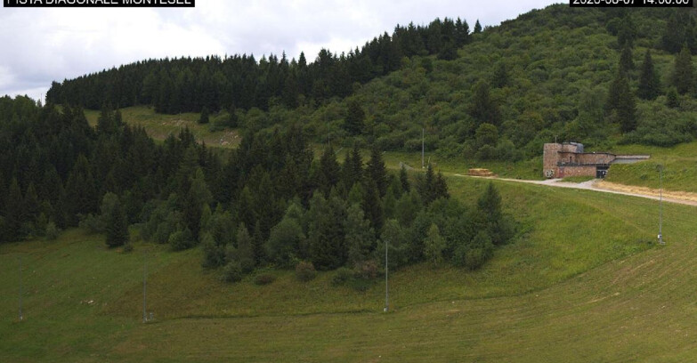 Webcam Монте-Бондоне  - Bondone Diagonale Montesel