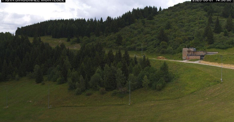 Webcam Монте-Бондоне  - Bondone Diagonale Montesel